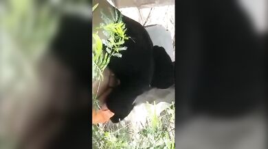 Sardar aur uski GF ki outdoor sex wali Hidden Cam Sex Video